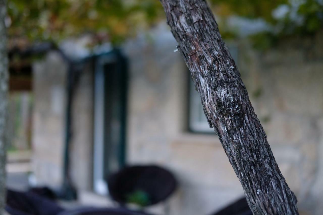 Casa Velha Villa Paradamonte Eksteriør billede